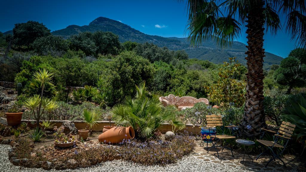 Finca Sonrisa Alhaurín el Grande Kültér fotó